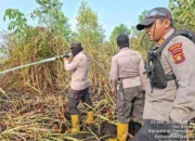 Tim Gabungan Berhasil Padamkan Kebakaran Lahan Seluas Dua Hektar di Ibul Besar Ogan Ilir