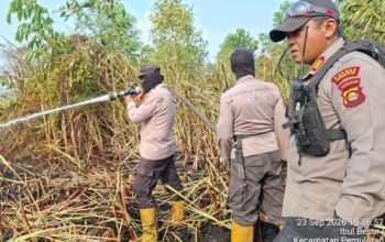 Tim Gabungan Berhasil Padamkan Kebakaran Lahan Seluas Dua Hektar di Ibul Besar Ogan Ilir