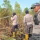 Tim Gabungan Berhasil Padamkan Kebakaran Lahan Seluas Dua Hektar di Ibul Besar Ogan Ilir