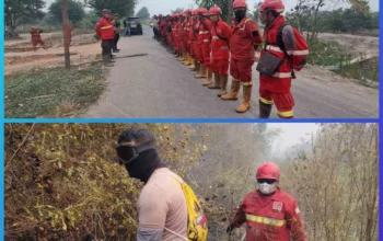 Tim Gabungan Padamkan Karhutla 4 Ha di Ibul Besar I Pemulutan