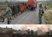 Tim Gabungan Padamkan Karhutla di Palem Raya, 2 Hektare Lahan Berhasil Dipadamkan