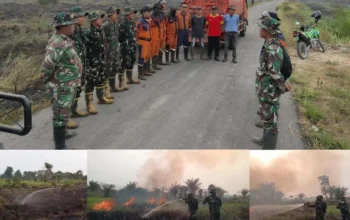 Tim Gabungan Padamkan Karhutla di Palem Raya, 2 Hektare Lahan Berhasil Dipadamkan