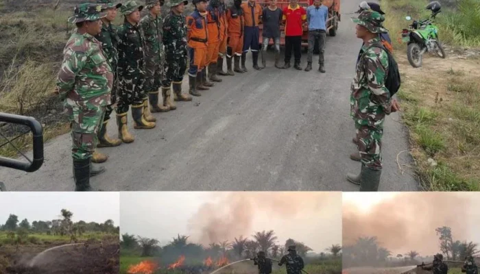 Tim Gabungan Padamkan Karhutla di Palem Raya, 2 Hektare Lahan Berhasil Dipadamkan