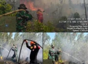 Tim Gabungan TNI-Polri Dan Masyarakat Padamkan Karhutla di SP3 Sakti, Luas Terbakar Capai 1,5 Hektare