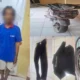 Tim Panther Polsek Pemulutan Ogan ilir Ungkap Kasus Pencurian Besi, Satu Pelaku Diamankan