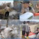 Uji Coba X‑FIRE di Lahan Gambut, Tim Gabungan Polsek Indralaya Bersama Polda Sumsel, Manggala Agni dan BPBD Padamkan Api Karhutla di Desa Bakung