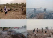 Gerak Cepat Tim Gabungan TNI Bersama Stakeholder Tangani Karhutla di Pulu Beruang