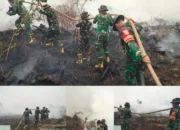 TNI Gerak Cepat Padamkan Karhutla Di Kelurahan Timbangan Api Berhasil Dikendalikan 