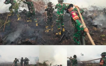 TNI Gerak Cepat Padamkan Karhutla Di Kelurahan Timbangan Api Berhasil Dikendalikan 