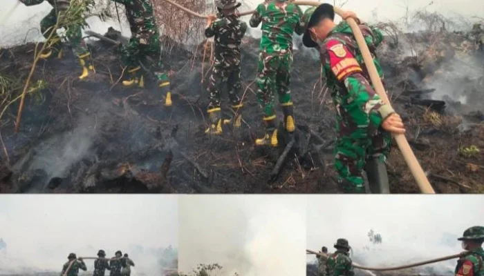 TNI Gerak Cepat Padamkan Karhutla Di Kelurahan Timbangan Api Berhasil Dikendalikan 