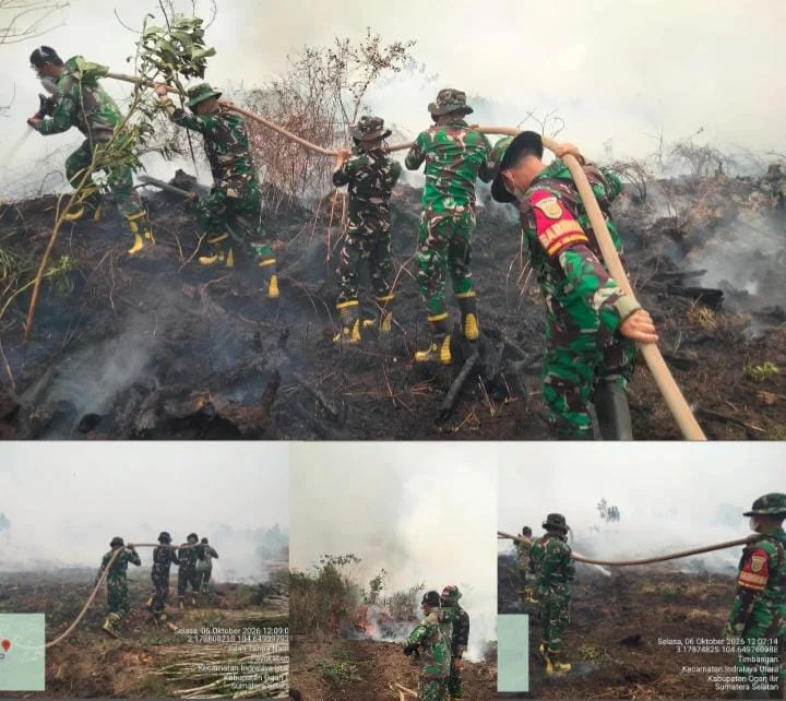 TNI Gerak Cepat Padamkan Karhutla Di Kelurahan Timbangan Api Berhasil Dikendalikan 