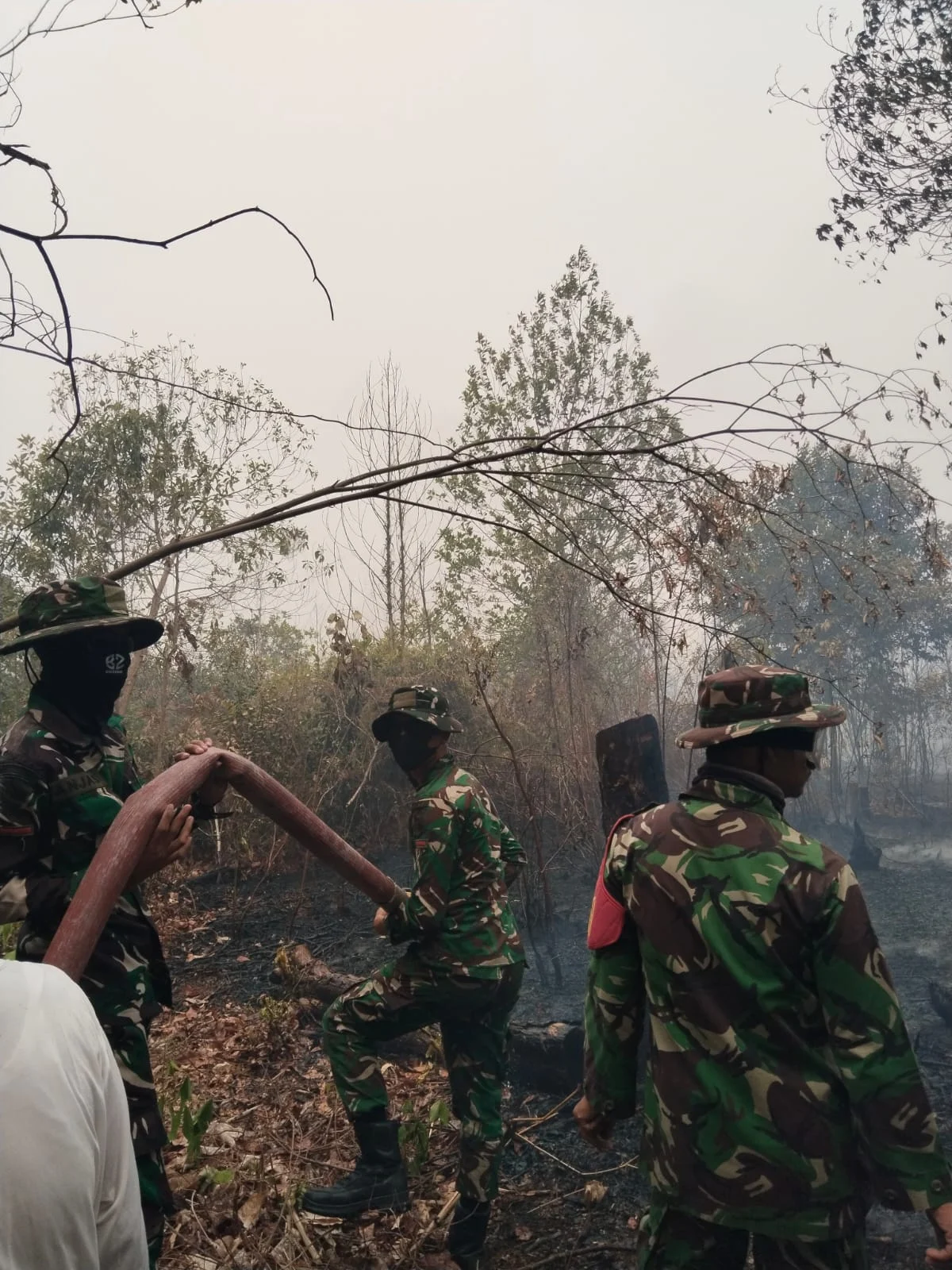 Sinergi TNI Dan Tim Gabungan, Karhutla Di Perigi Kayuagung Berhasil Dipadamkan