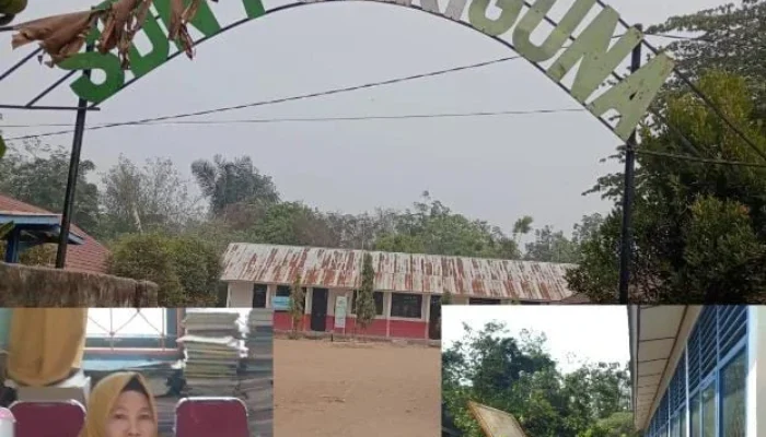 Diduga Abaikan Komite, Pengelolaan Dana BOS SDN 1 Seriguna Disorot