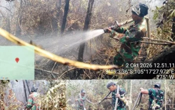 Babinsa Dan Tim Gabungan Bergerak Cepat Tangani Karhutla Di Pulu Beruang