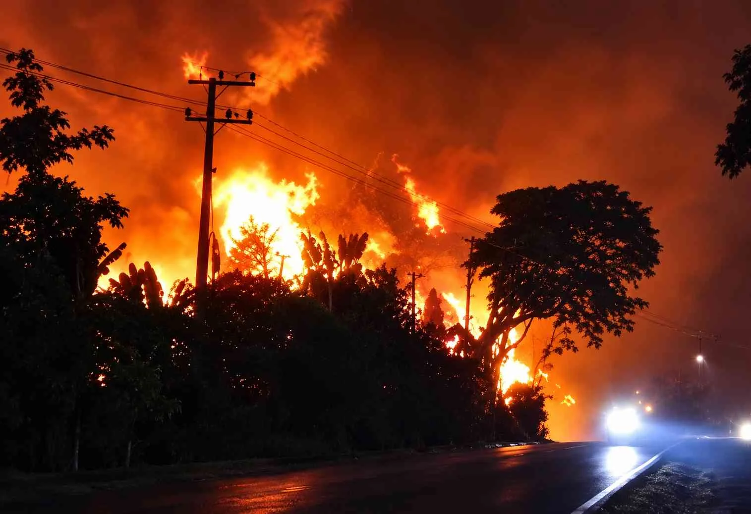 Foto pendukung berita Gudang BBM Ilegal Berjarak 7 KM dari Mapolres Ogan Ilir Meledak, 3 Pekerja Alami Luka Bakar, Polda Sumsel dan Mabes Polri Didesak Usut Tuntas