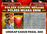 Satu Drum Oli PT RMK Diduga Digelapkan dan Dijual, Polsek Gunung Megang Amankan Seorang Karyawan